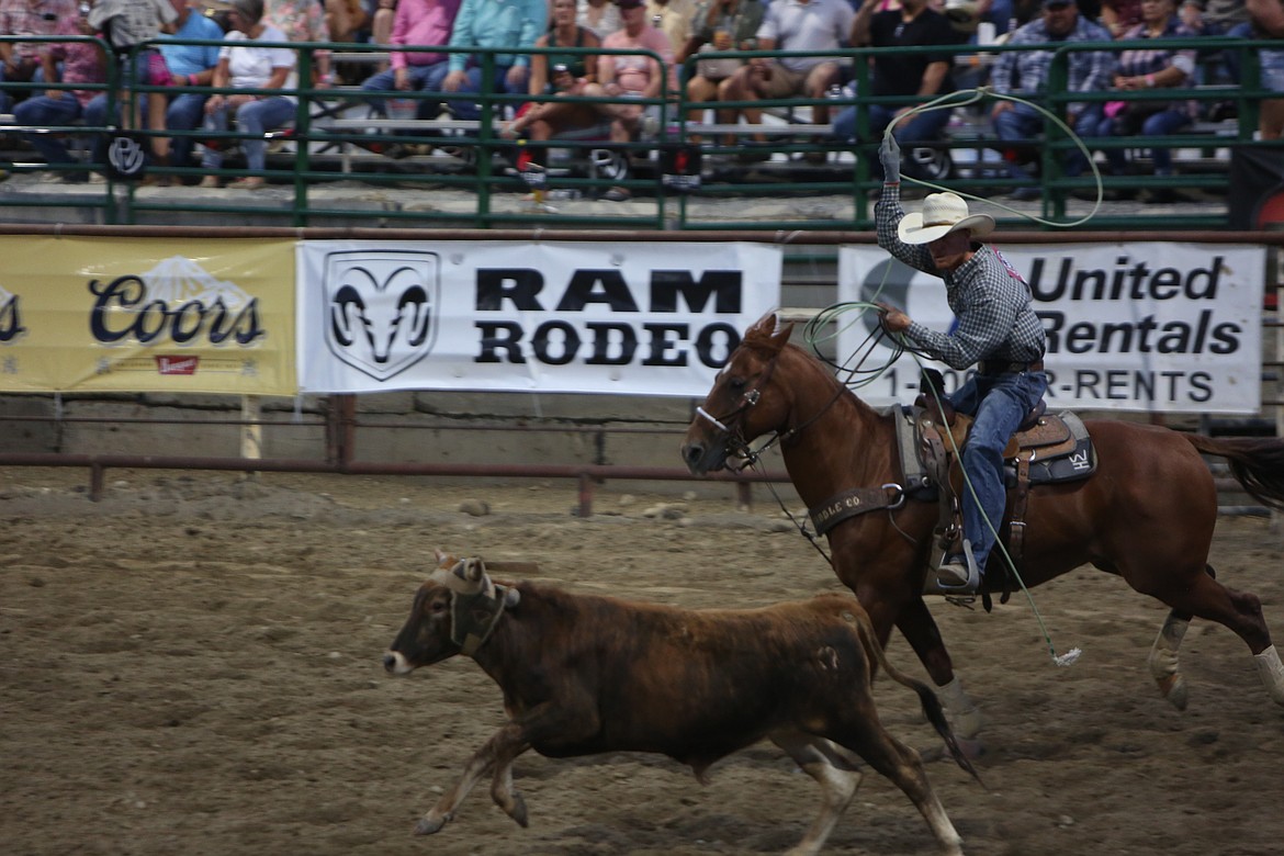 Looking down at a steer, this rider prepares to rope the steer in the tie-down roping event.