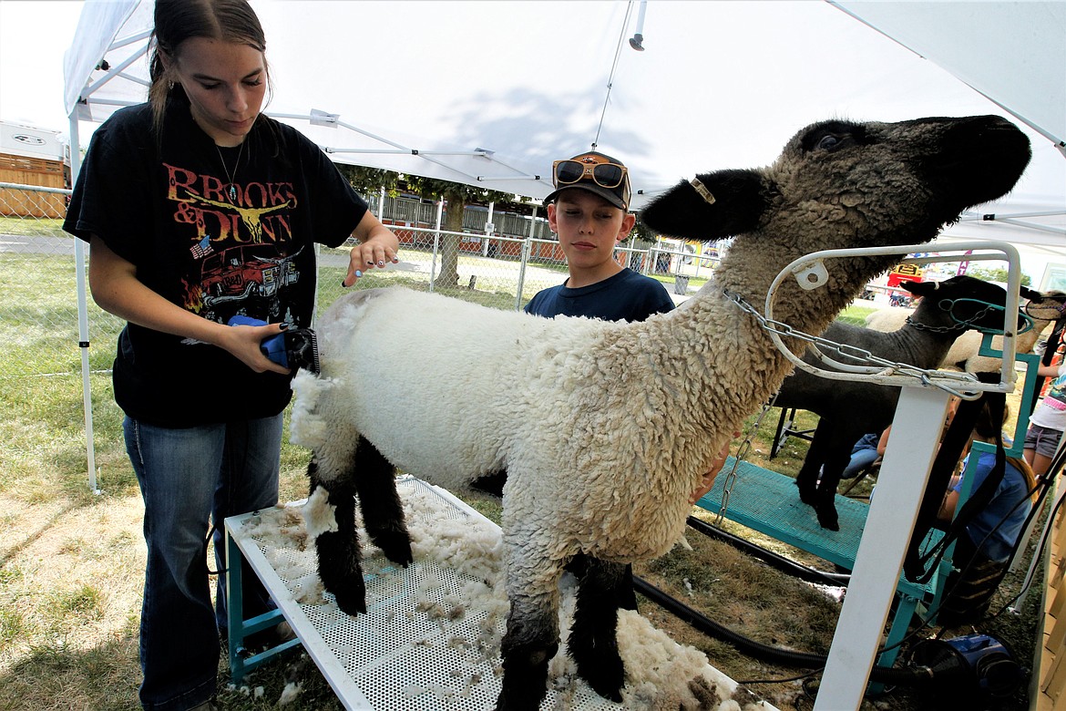 Carlene Ross shears Larry the lamb while Ryder Jordon watches at the North Idaho State Fair on Monday.