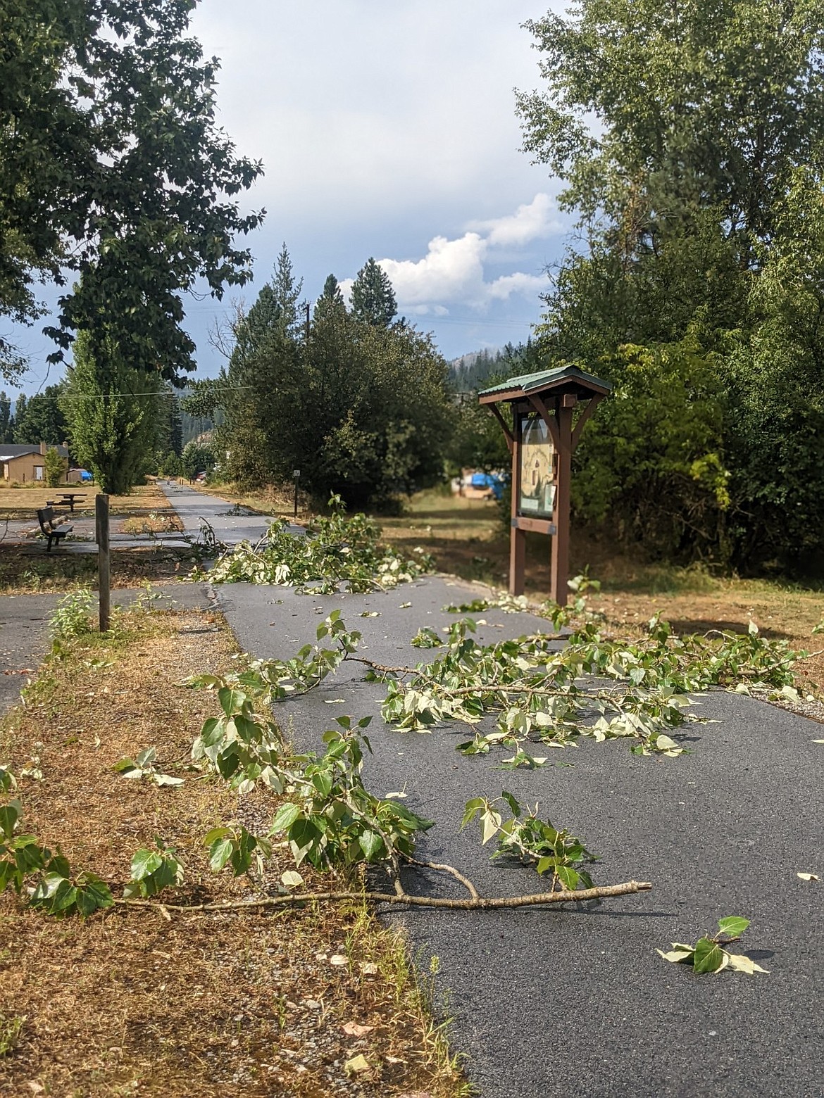 Broken branches scattered across the Trail of the Coeur d'Alene in Osburn.