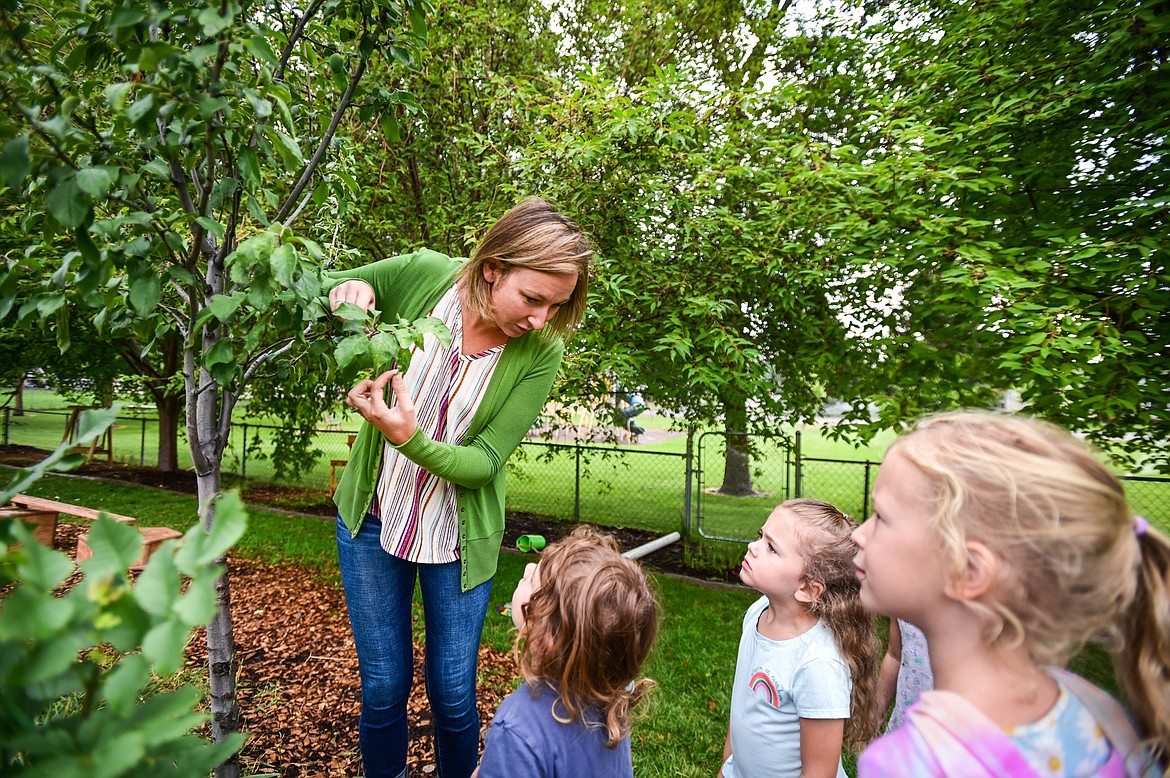 Corinne Kuntz, owner of The Birds Nest Early Learning Village, looks for signs of caterpillars with a group of preschoolers on Friday, Aug. 26. (Casey Kreider/Daily Inter Lake)