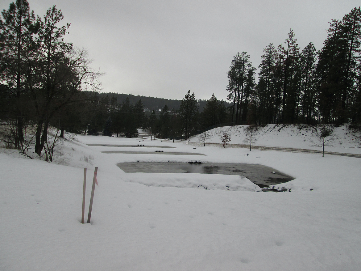 This Coeur d'Alene stormwater management project shows a swale in winter.