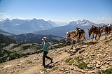 On the trail to Swiftcurrent Lookout