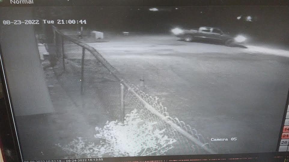 Companions Animal Center security footage from the night of Aug. 23 shows the driver of a dark-colored, four-door truck fleeing after abandoning kittens at the shelter. Anyone with information should contact Kootenai County Sheriff's Office Animal Control at 208-446-1300 or call the shelter at 208-772-4019.