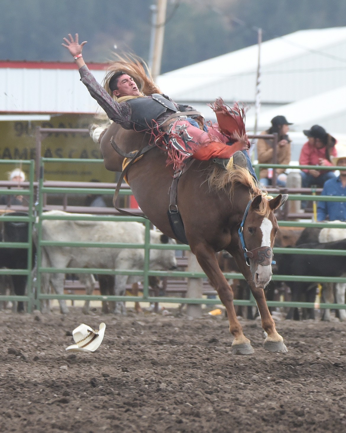 Cam Bruised Head displays picture perfect bareback riding skills to win the bareback riding event. (Marla Hall/Lake County Leader)