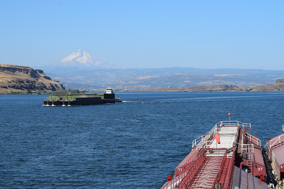 A view of Mount Hood from the wheelhouse of the Shaver Transportation tugboat Lincoln as it transports 13,000 metric tons of wheat down the Columbia River in early August. The Tidewater Transportation and Terminals tugboat The Chief approaches, coming upstream carrying empty barges ready to haul more grain downriver to terminals in Portland.