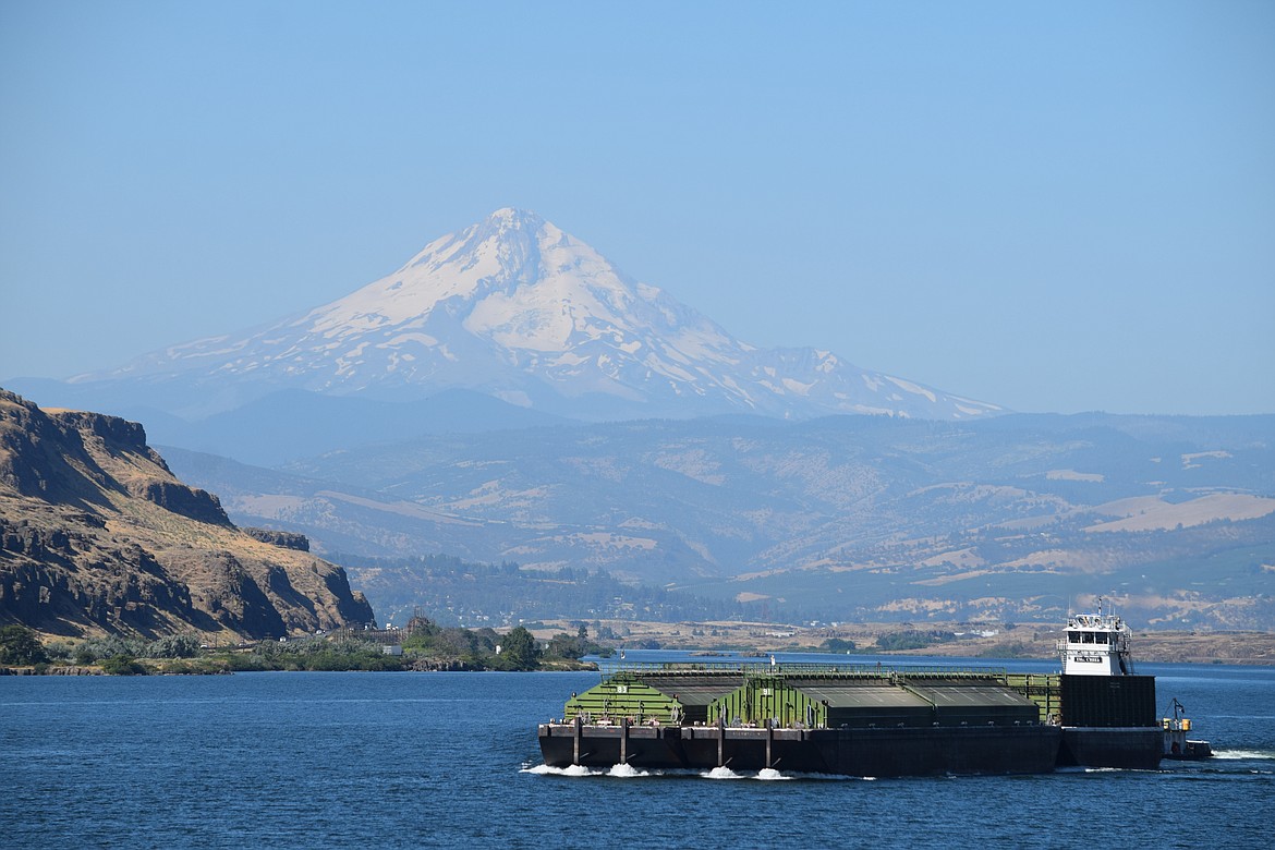 The Tidewater Transportation and Terminals tugboat The Chief hauling barges up the Columbia River to be filled with grain in early August. In addition to wheat, Tidewater also hauls petroleum products to terminals along the Snake and Columbia rivers, as well as shipping containers and bulk bins of wood chips.