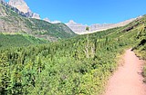 Glacier, grizzlies and the Zen Guru