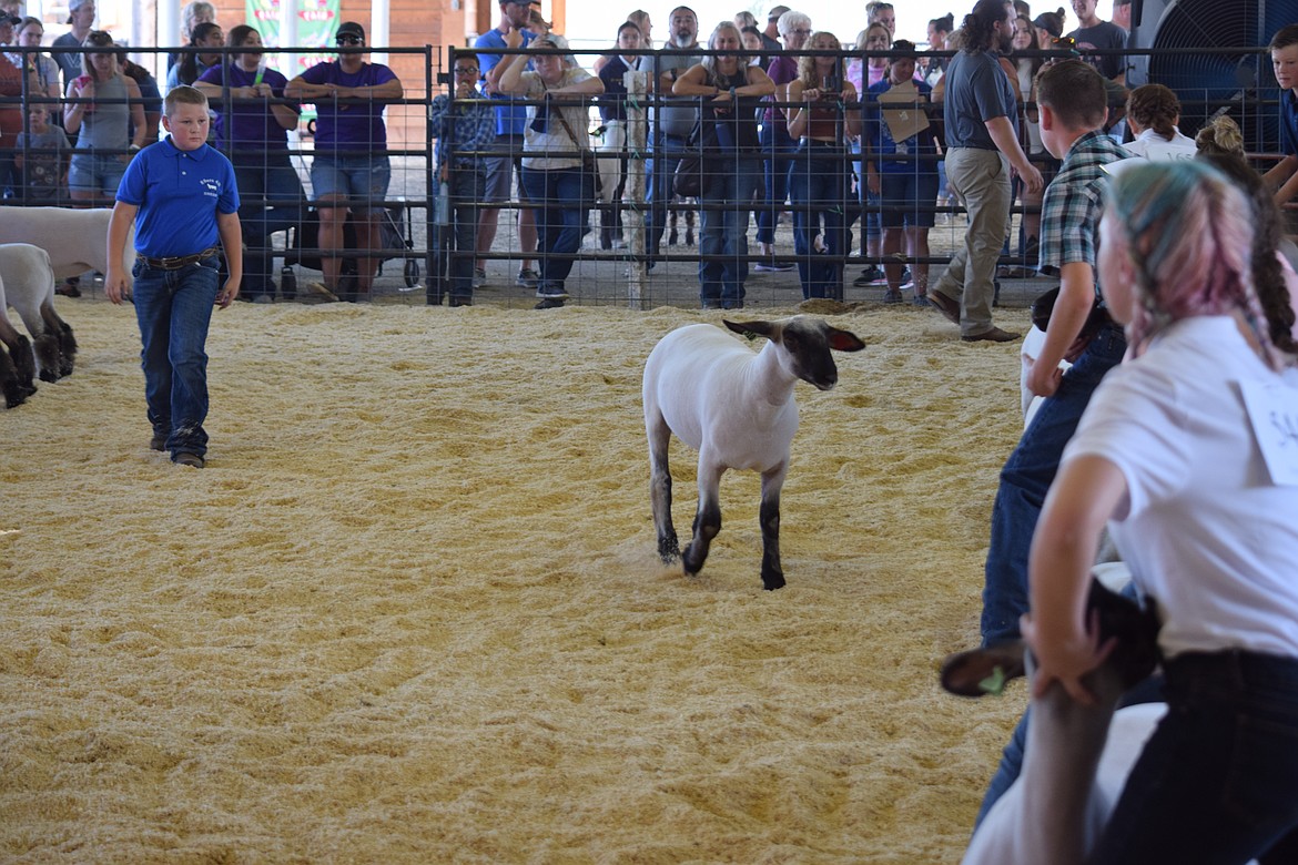 Grant County Fair youth ag competition results Columbia Basin Herald