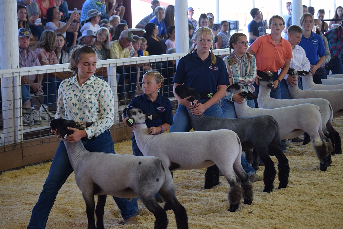 Grant County Fair youth ag competition results Columbia Basin Herald