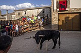 Wave of bull runner deaths turns focus on Spain's fiestas