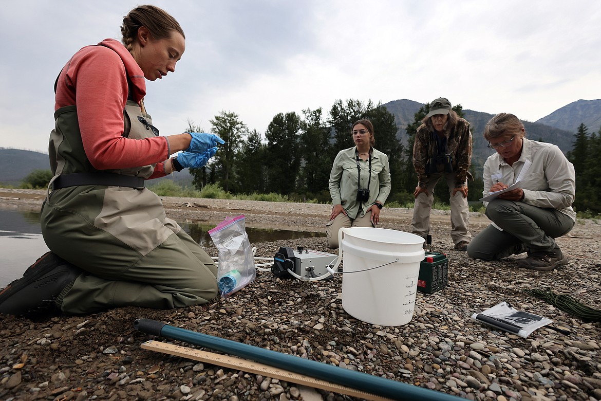 Holli Holmes (left) bags a sample from Upper McDonald Creek with help from intern Nora Kehoe, volunteer Barbara Lancaster and park biologist Lisa Bate. (Jeremy Weber/Daily Inter Lake)