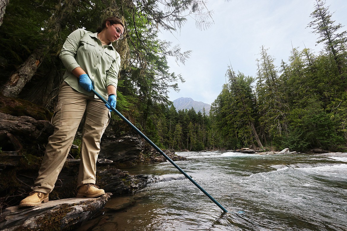 Intern Nora Kehoe collects water samples from McDonald Creek in Glacier National Park Aug. 10 as part of an environmental DNA study of harlequin ducks. (Jeremy Weber/Daily Inter Lake)