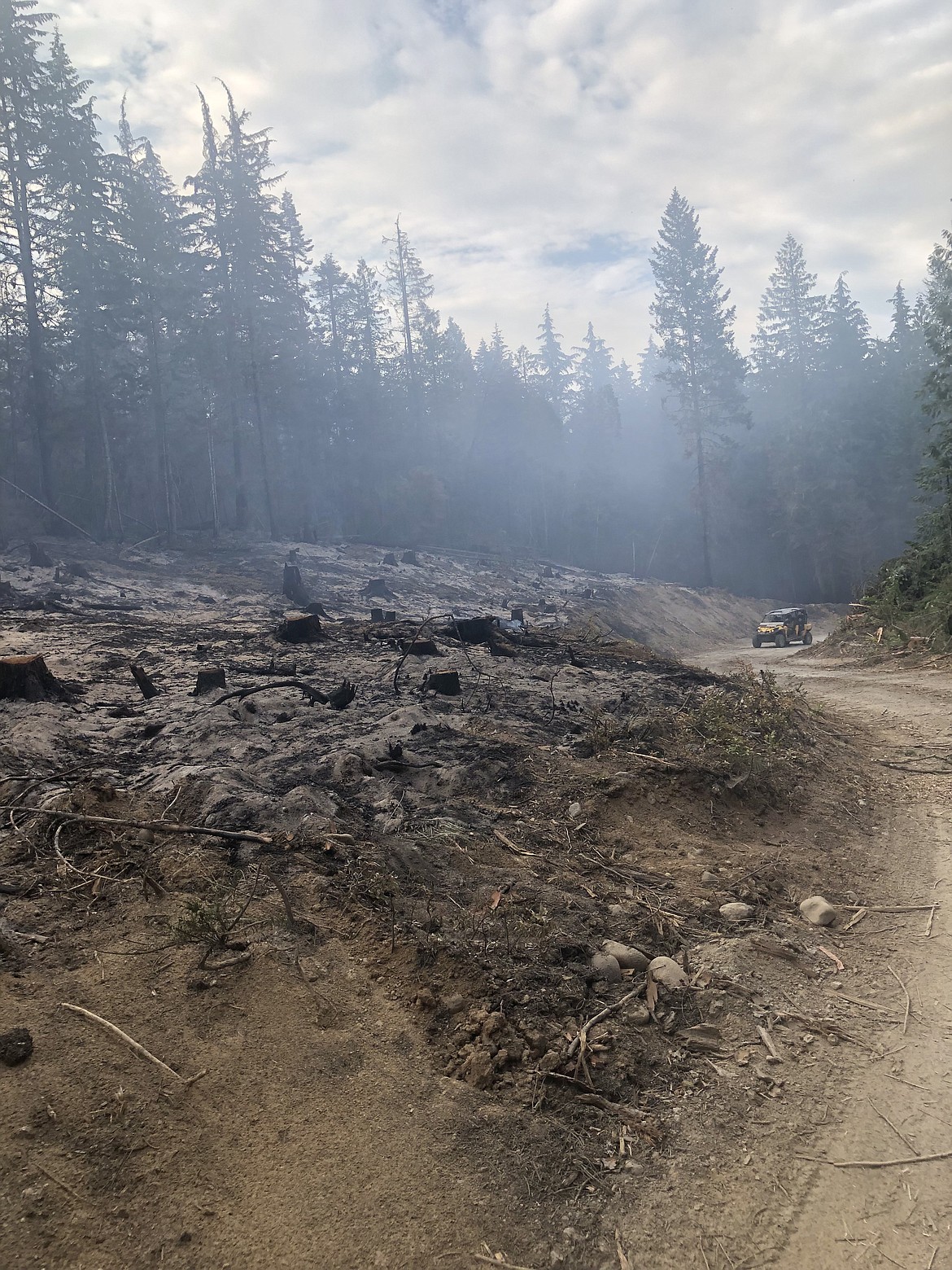An area burned by the Diamond Watch Fire in Pend Oreille County, Wash.