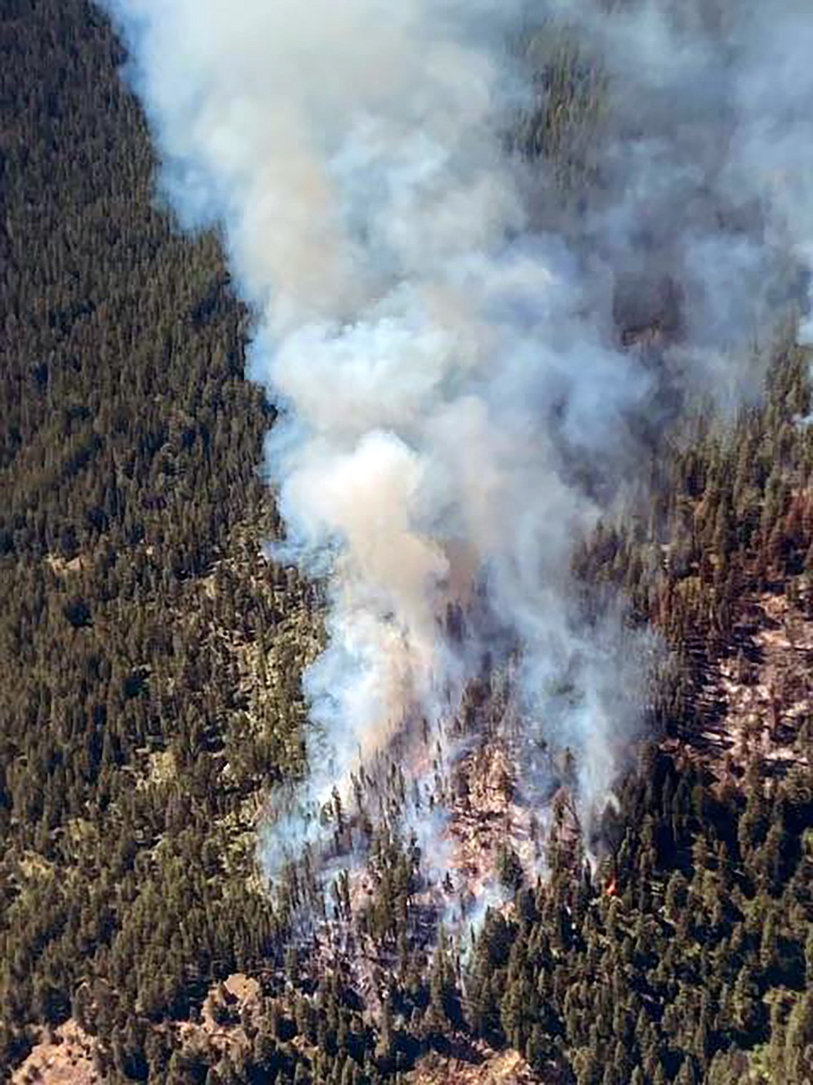 An aerial view of the Eneas Peak Fire in Boundary County taken early on in the fire. The fire is now classified as part of the Kootenai River Complex.