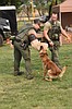 K-9 Nado serves residents of Adams Co.