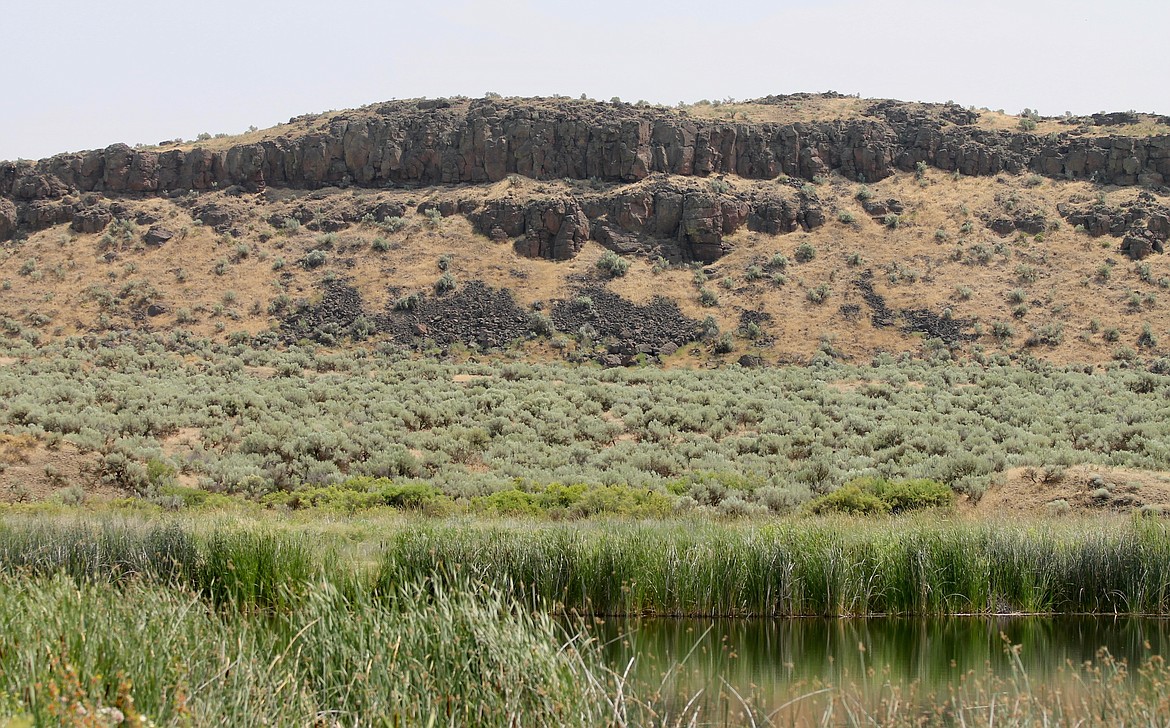 The Central Basin Audubon Society is looking to start taking some bird walks to places like the Columbia National Wildlife Refuge, shown here.