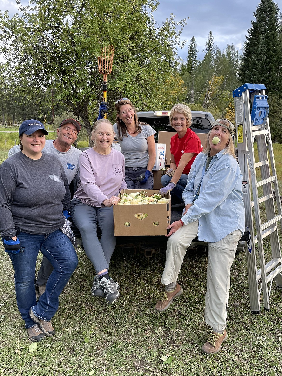 Bear Aware Bigfork volunteers collect fruit last year for donations to the Grizzly and Wolf Discovery Center. (photo provided)
