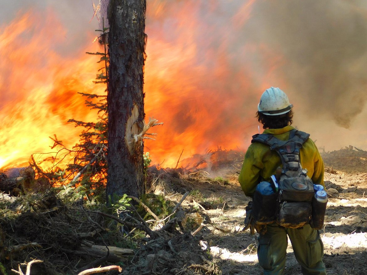 A firefighter on the Lemonade Fire near Marion. (Inciweb photo)