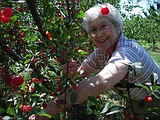Helen Zimmerman, 97