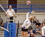Spikers down Bulldogs in 5