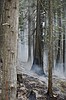 Kootenai River Complex fire update Sept. 14