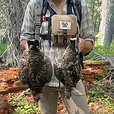 Here's what upland game bird hunters can expect