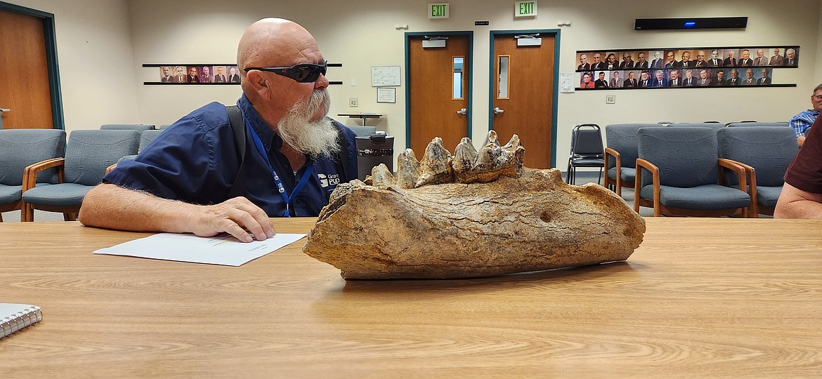 Nelson Cox, Grant County PUD commissioner, looks at a fossil, estimated to be about 6 million years old, discovered on the Hanford Reach.