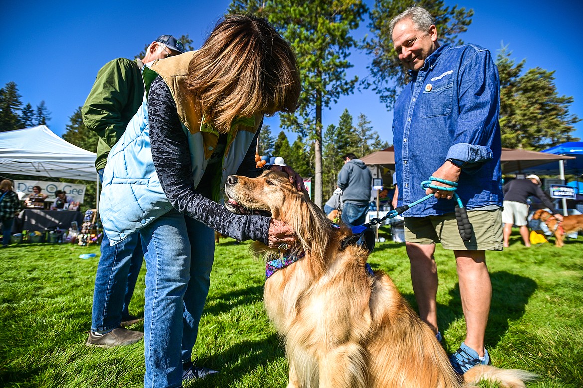 Attendees greet each others' golden retrievers at GoldenStock Montana at Haymoon Resort in Whitefish on Saturday, Sept. 17. GoldenStock Montana is a gathering of golden retrievers and their owners to support Montana Precious Gold golden retriever rescue. (Casey Kreider/Daily Inter Lake)