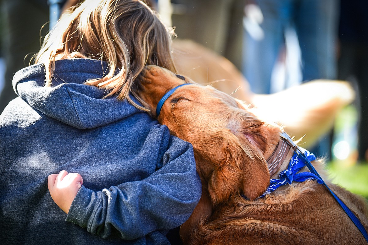 Attendees watch demonstrations with their golden retrievers at GoldenStock Montana at Haymoon Resort in Whitefish on Saturday, Sept. 17. GoldenStock Montana is a gathering of golden retrievers and their owners to support Montana Precious Gold golden retriever rescue. (Casey Kreider/Daily Inter Lake)