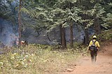 Kootenai River Complex fires update Sept. 19