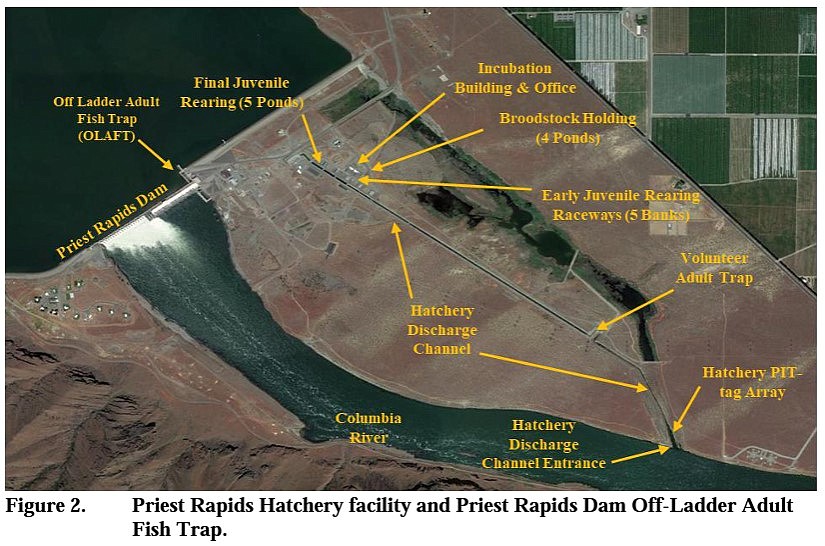 A map of Priest Rapids Dam and Priest Rapids Fish Hatchery.