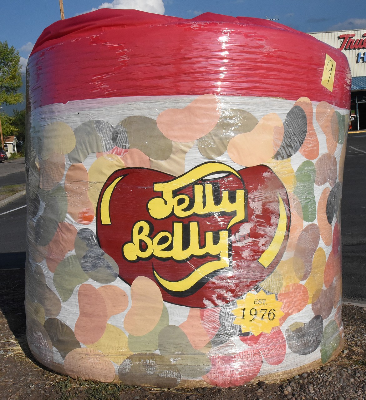 Ronan True Value went back to the creation of the Jelly Belly, established in 1976.