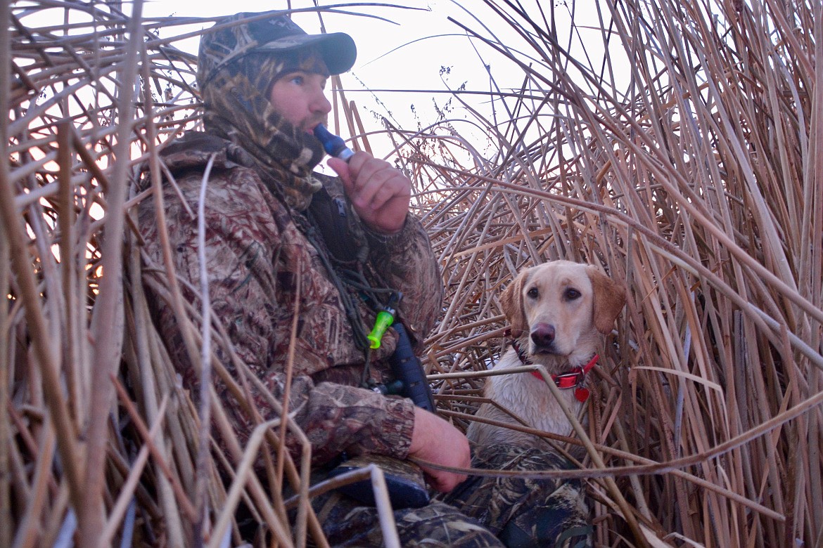 Waterfowl season for youth, veterans/active military runs this weekend