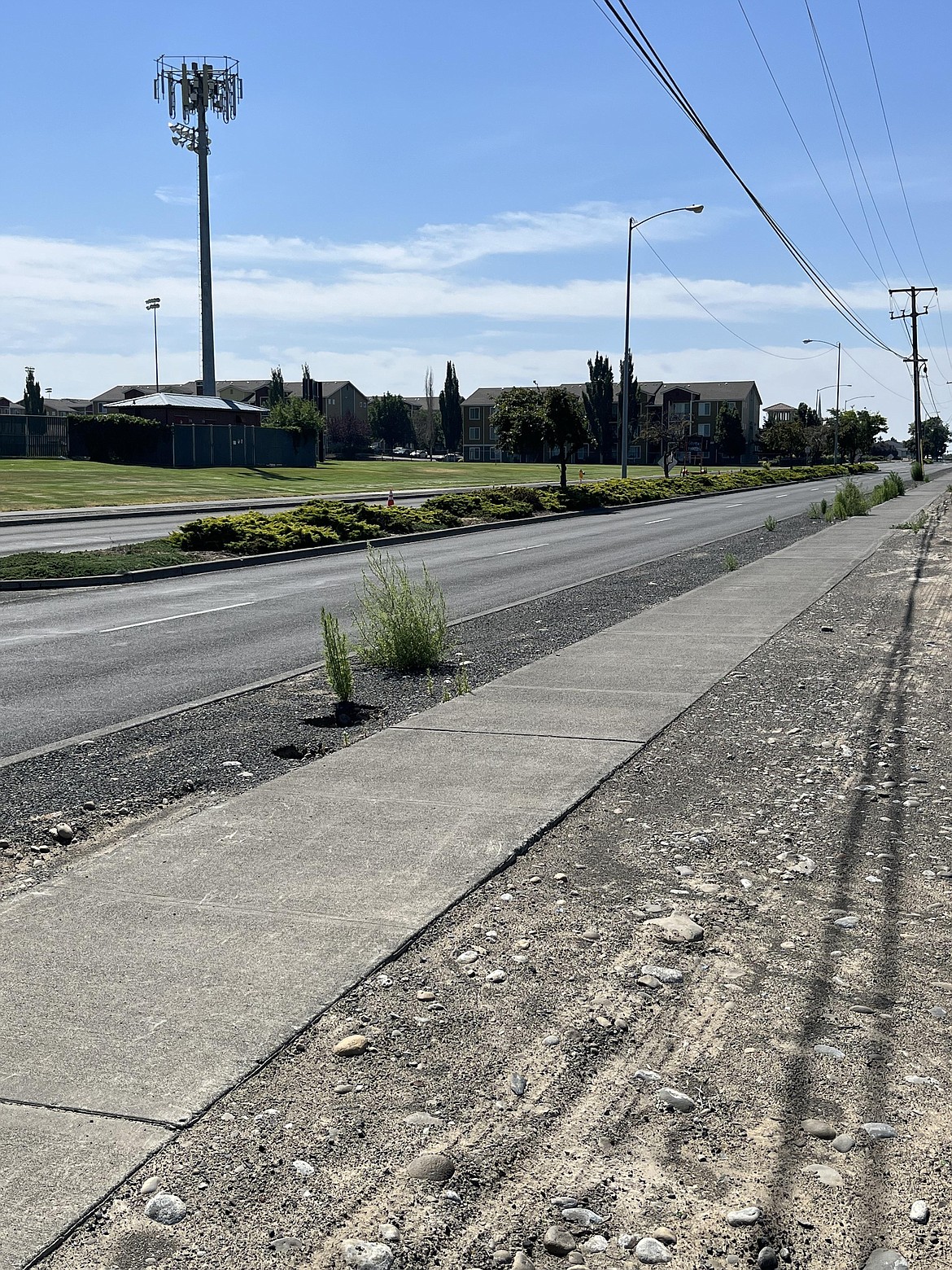 The Grape Drive median prior to the start of work.