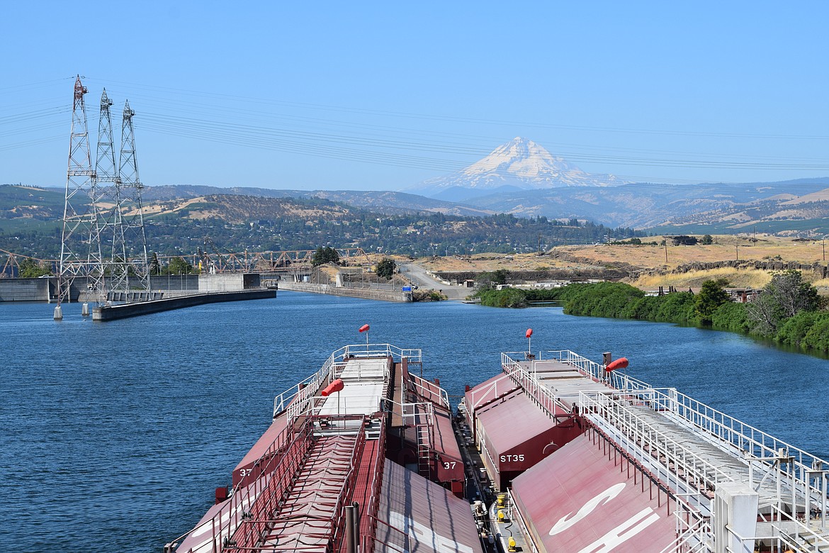 A view of the lock at The Dalles Dam as the Shaver Transportation tugboat Lincoln, pushing four barges loaded with 13,000 metric tons of wheat, approaches in early August. Mount Hood is in the distance.