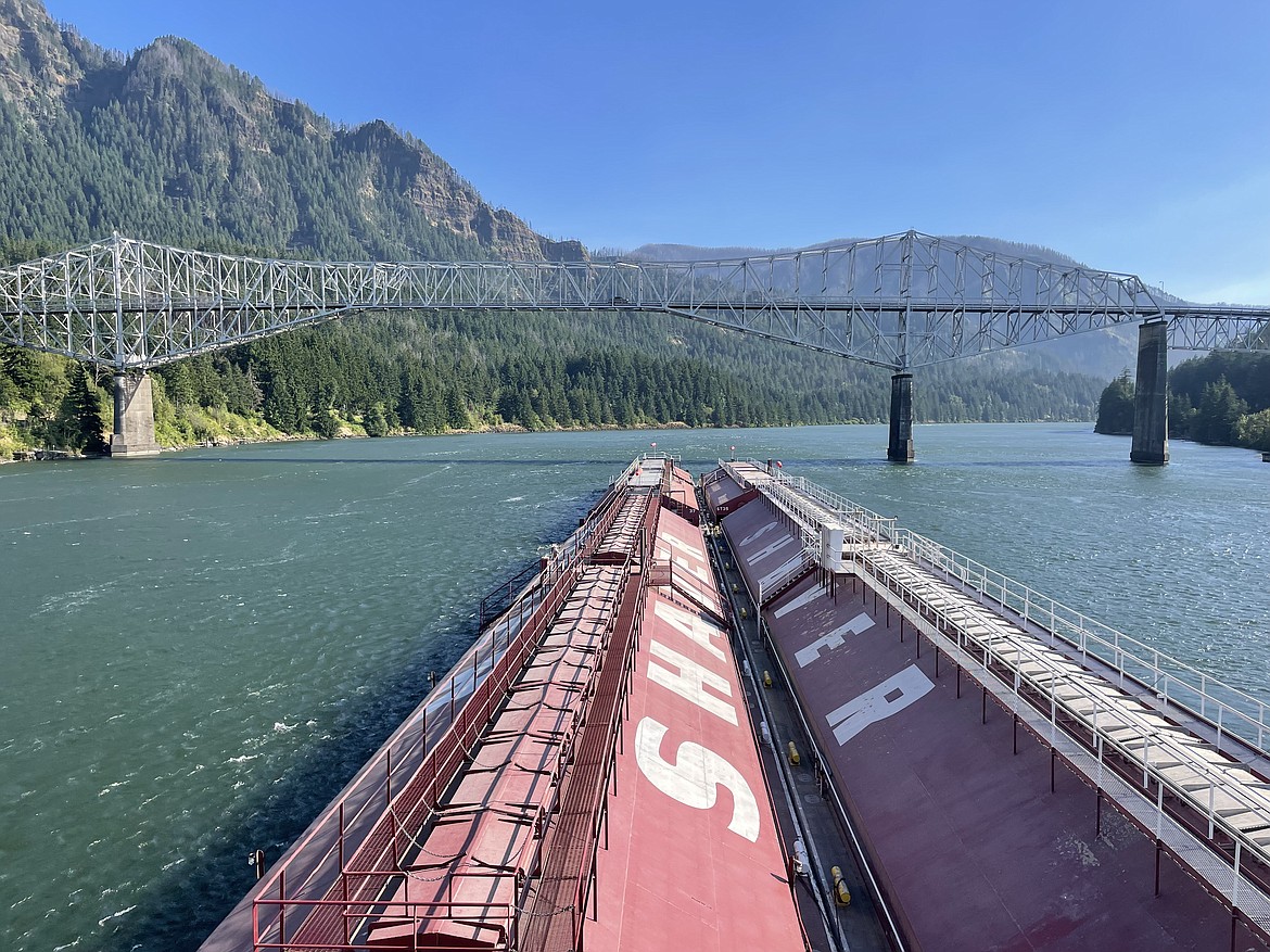 The tugboat Lincoln and its four barges full of wheat approach The Bridge of the Gods on the Columbia River between Oregon and Washington in early August.