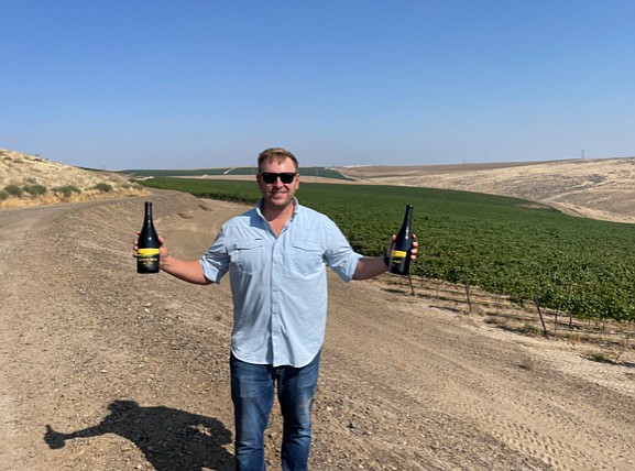 Wine grape grower Steele Brown harvests pinot noir grapes in the family vineyard next to the Wild Horse Monument near Vantage.