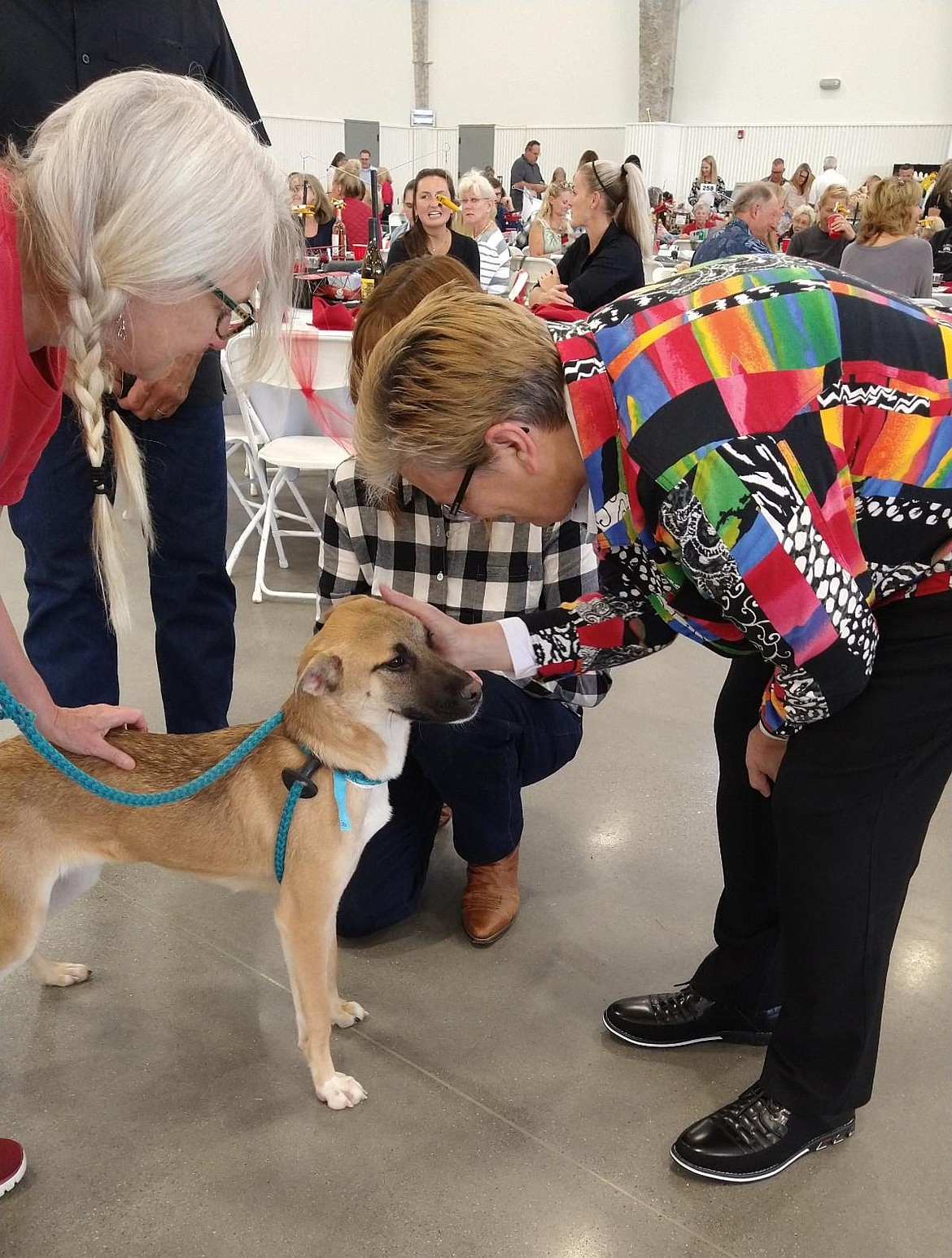Photo courtesy KHS
Tails at Daylight guests visit with a dog that arrived on a Wings of Rescue flight at StanCraft Jet Center.
