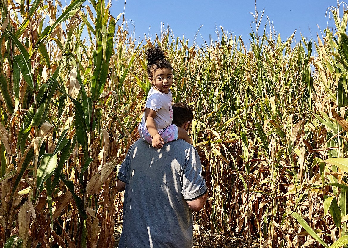 Several local patches also feature a corn maze for families or individuals looking to test their maze escape skills.
