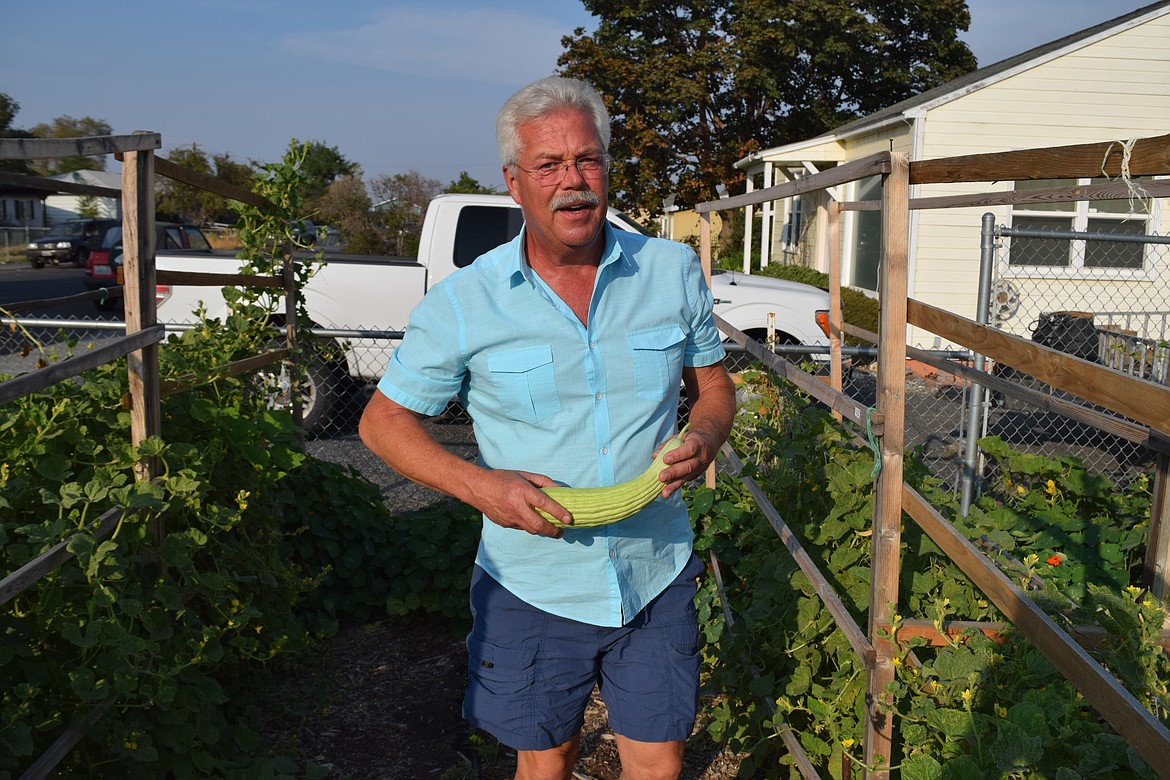 Don Key holds an Armenian cucumber — really a type of muskmelon — he has grown in his garden next to his Moses Lake home. Key said he prefers the Armenian cucumbers because they are big and one can feed a whole family.