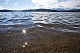 Report: Lake CDA improving