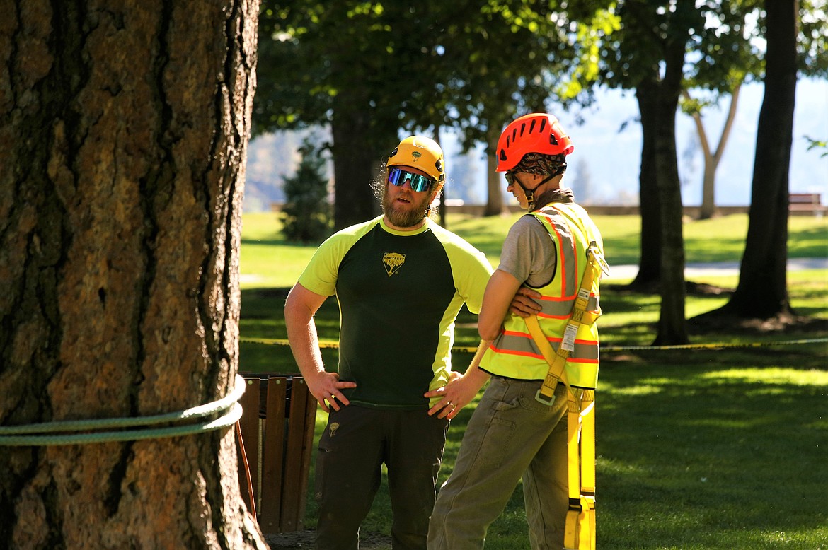 Logan Collier, left, chats with fellow judge Robert Bundy on Friday as they prepare for today's tree-climbing championship at City Park.