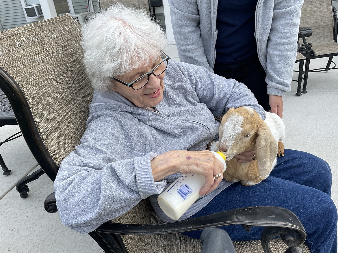 Brookdale Hearthstone resident Rita Gordon holds a five-month-old baby goat as it suckles a bottle. The animals paid a short visit to the facility on Friday as part of an effort by Administrator Joe Ketterer, who also raises goats, to help residents become more engaged and active.