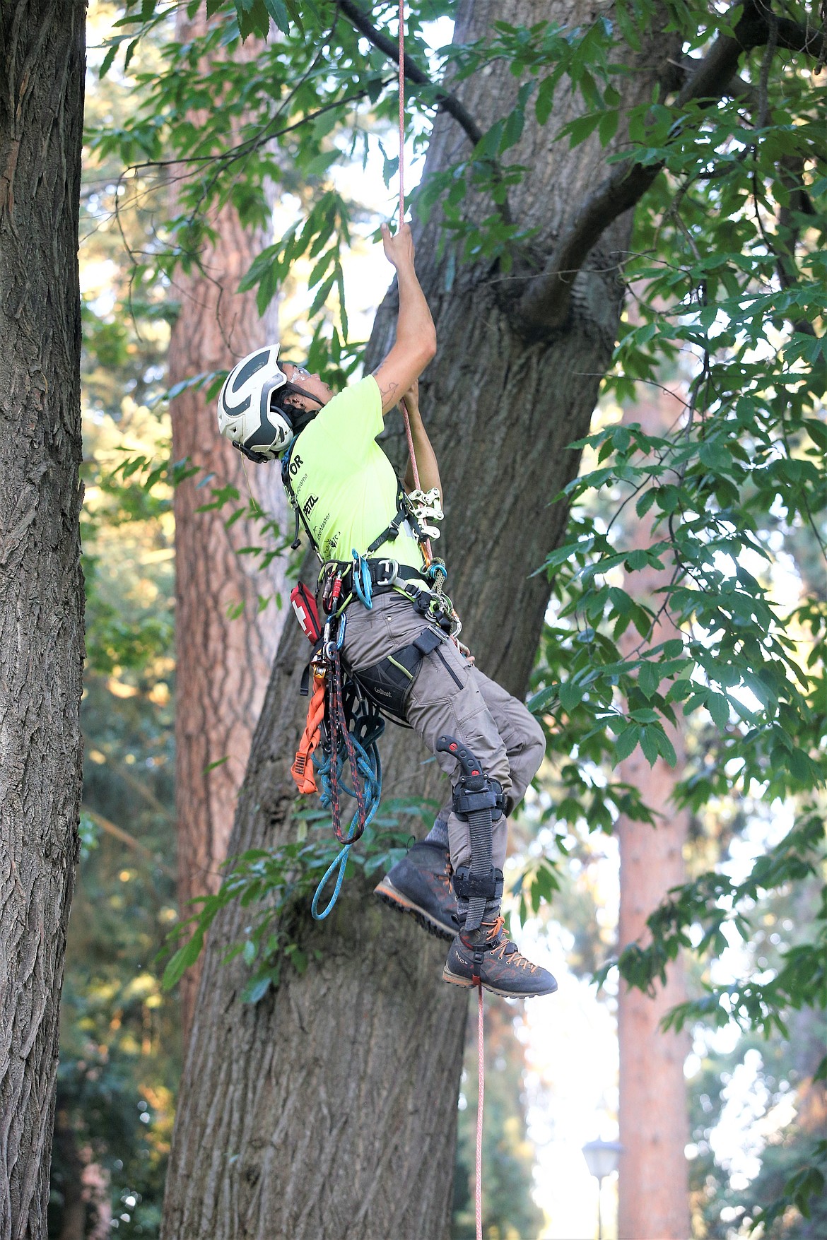 Aneesa Winn begins her ascent in the final round of Pacific Northwest International Society of Arboriculture’s annual Tree Climbing Championship on Saturday at City Park.