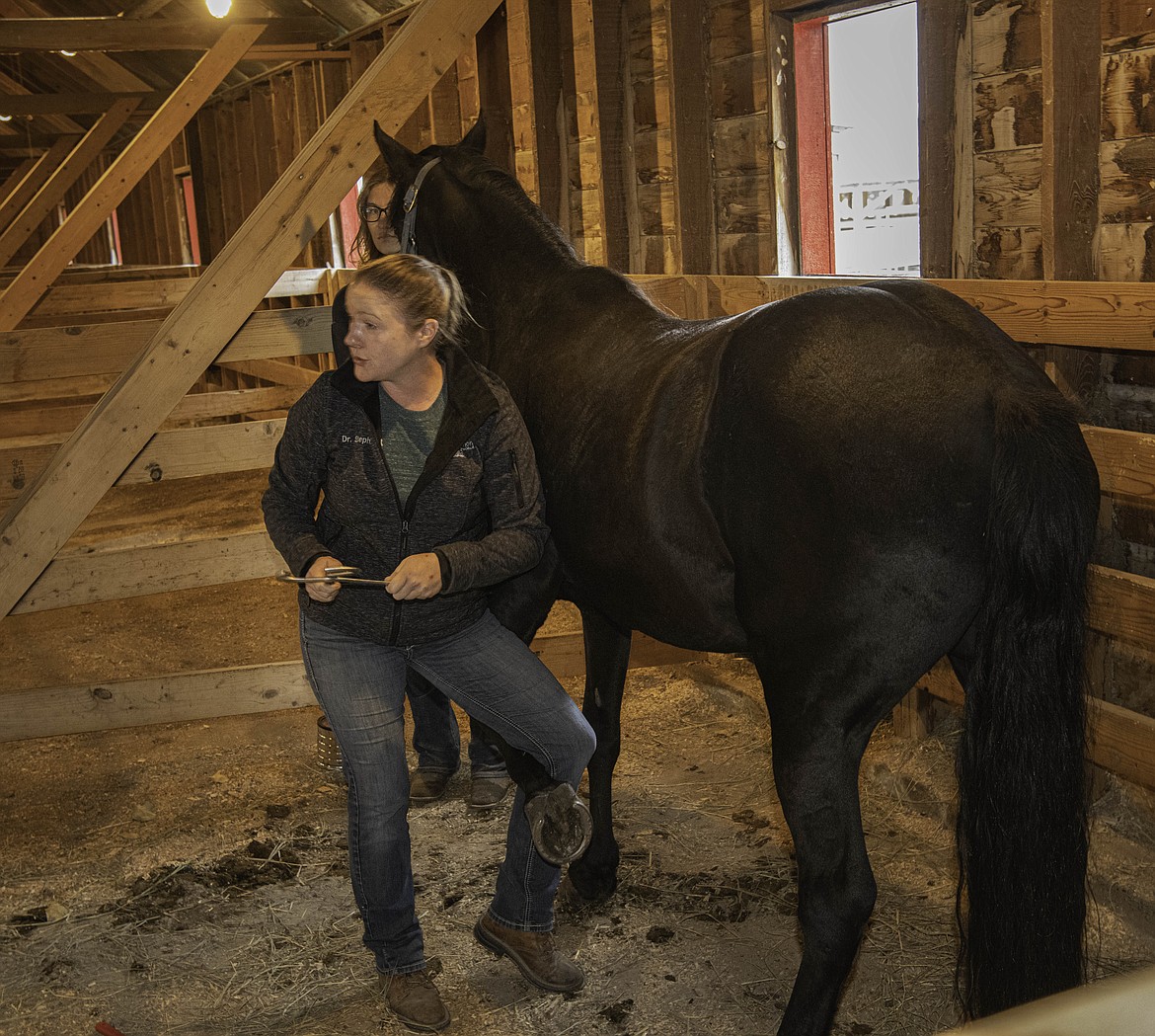 Sanders County students learn about agriculture Valley Press/Mineral