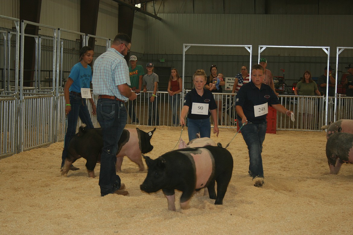 4-H competitors guide their pigs around the arena while the judge takes notes during market competition at the 2022 Grant County Fair. The annual stock sale set a record for sales, according to fair officials.