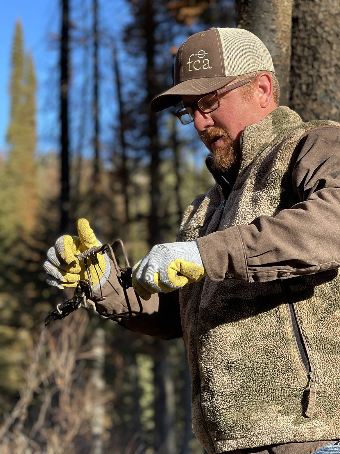 A hunter sets a marten trap.