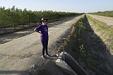 California wells run dry as drought depletes groundwater