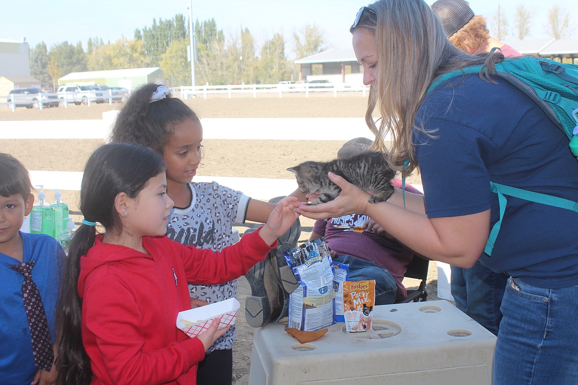 Kittens were among the animals available for petting at First Grade Farm Day. It’s a project of students from the Moses Lake High School FFA chapter and in math and science classes.