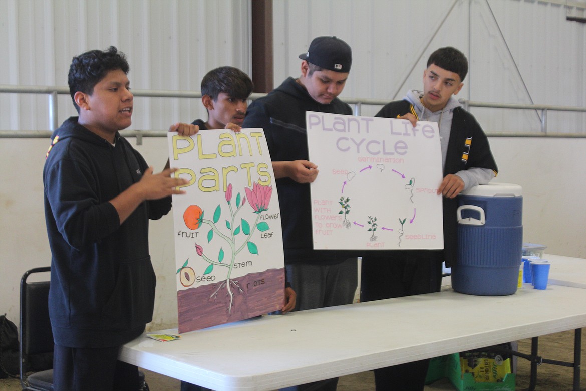 (From left) Jesus Vargas, Angle Verduzco, Alfonso Barrera and Isaiah Gonzalez explain the life cycle of plants to first-graders during First Grade Farm Day Tuesday.